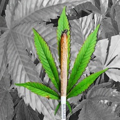 playboi carti chill remix