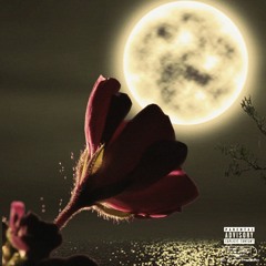 October 10th Freestyle (with HBK $har)