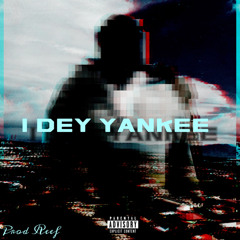 I dey yankee (prod reef)