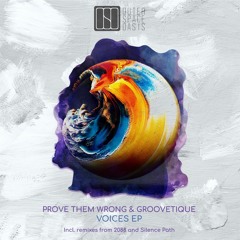 DHB Premiere: Prove Them Wrong & Groovetique - Voices From Afar (Silence Path Remix)