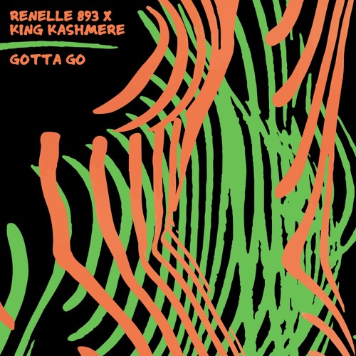 Renelle 893 & King Kashmere - Gotta Go