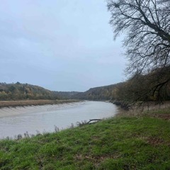 Wherever We Can Reach