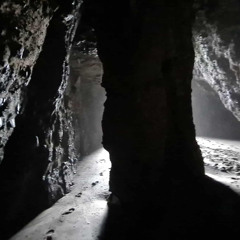 The Discovery