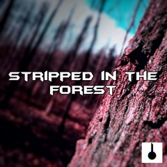 Fall In Trance - Stripped In The Forest
