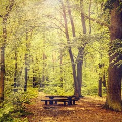 Contentment