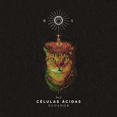 Relatos De Sirio 02 I Células Ácidas