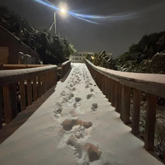 snow