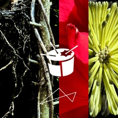 Moss - triple j Mix Up Residency