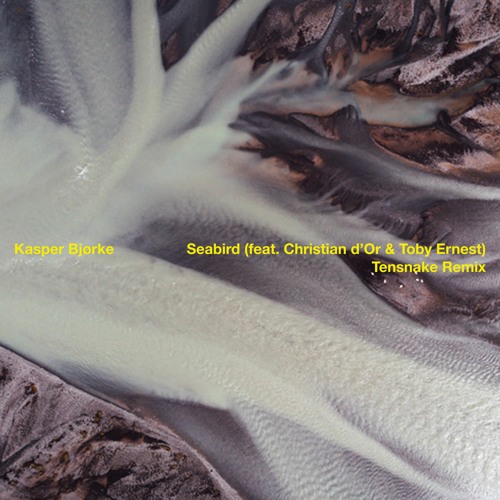 Kasper Bjørke - Seabird (feat. Christian d'Or & Toby Ernest) (Tensnake Remix Edit)