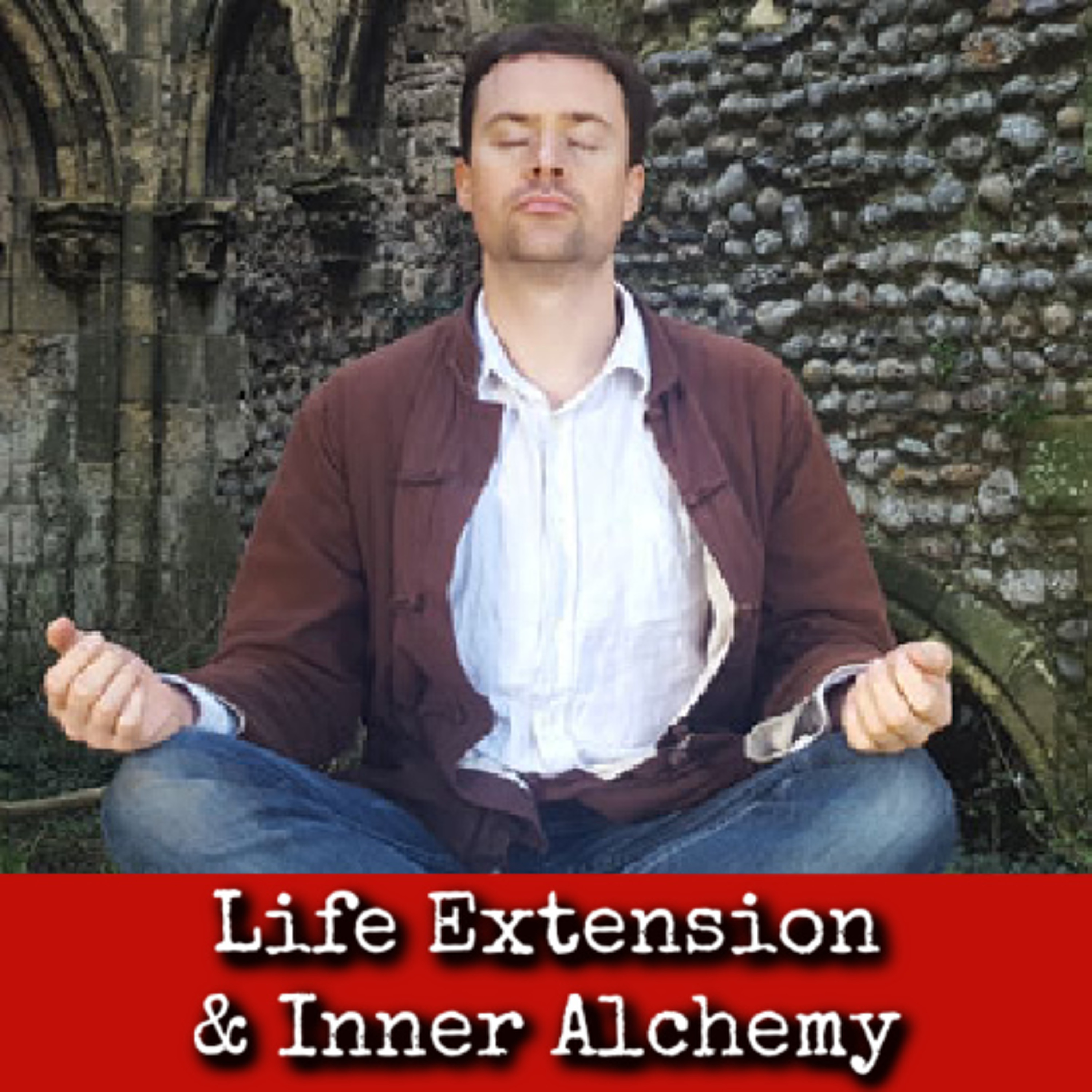 Ep367: Life Extension & Inner Alchemy - Martin Faulks episode artwork