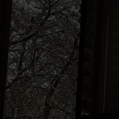 Can I Have You For Tonight?