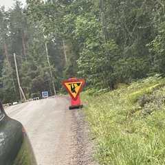 🚗👌
