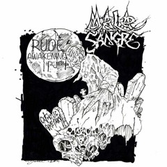 RUDE AWAKENING (Official Audio)