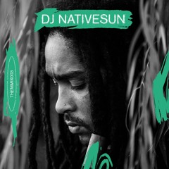 THEMMIX003: DJ Nativesun