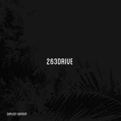 263DRIVE [prod. AUDIOCARMANI]