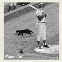 Black Cat