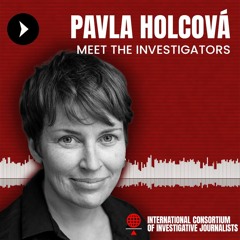 Meet the Investigators: Pavla Holcova