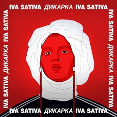 Дикарка
