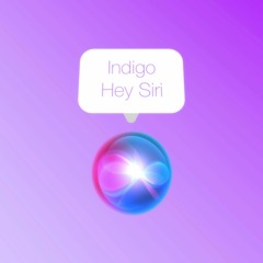 Indigo - Hey Siri