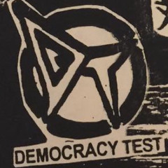 Their Representatives (Democracy Test)