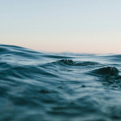 Moonlight Swimming