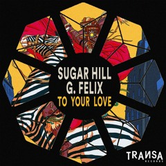 G. Felix & Sugar Hill - To Your Love (Original Mix)