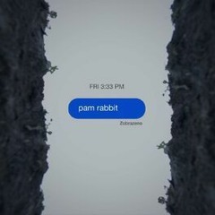 Pam Rabbit - Zobrazeno (DnB Bootleg)