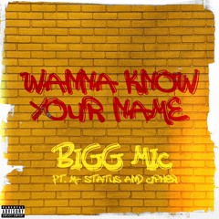 Wanna Know Your Name - Bigg Mic Ft. M-Status & Cipher