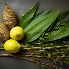 Célébrer pour la gloire de Dieu