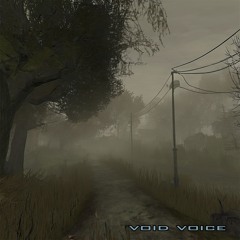 void_voice
