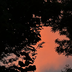 My Definition Of "FrÜhling" on Vinyl