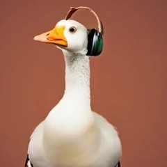 Silly Goose Mix 001