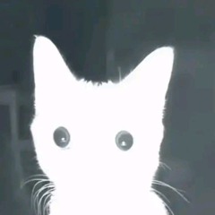 Faz Sol Em Cuiabá - @joao feat: Fwkgomess (prod: triplë_Mike)