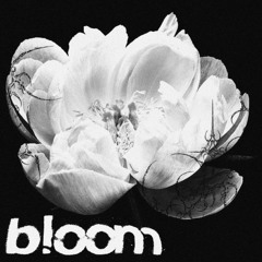 bloom (self prod.)