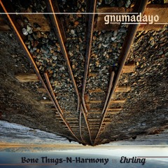 Thuggish Ruggish Education (GNUMADAYO Mashup)