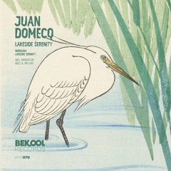 Juan Domecq - Lakeside Serenity (BiGz Remix) - Bekool Records