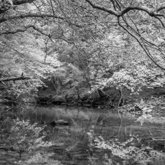 Gone For Good (Demo)