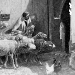 he that entereth in by the door