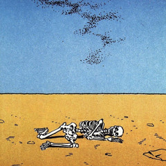Bones//Full of Sawdust (Acid Tabs)