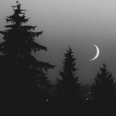 Slowly Falling.