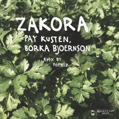 Pay Kusten, Borka Bjoernson - Zakora (Pophop Remix) [Meeronauten Musik]