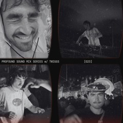 Profound Sound Mix Series [23] w/ TWIGGS