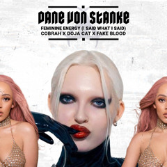 Feminine Energy (I Said What I Said) | COBRAH X DOJA CAT X FAKE BLOOD