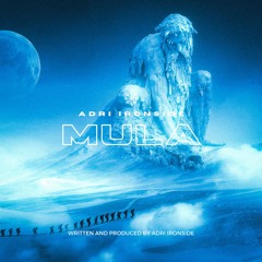 Mula