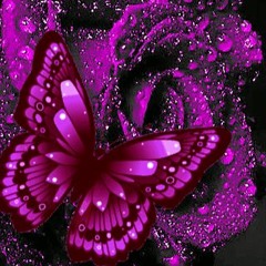 #CELESTIALAUTUMN🦋