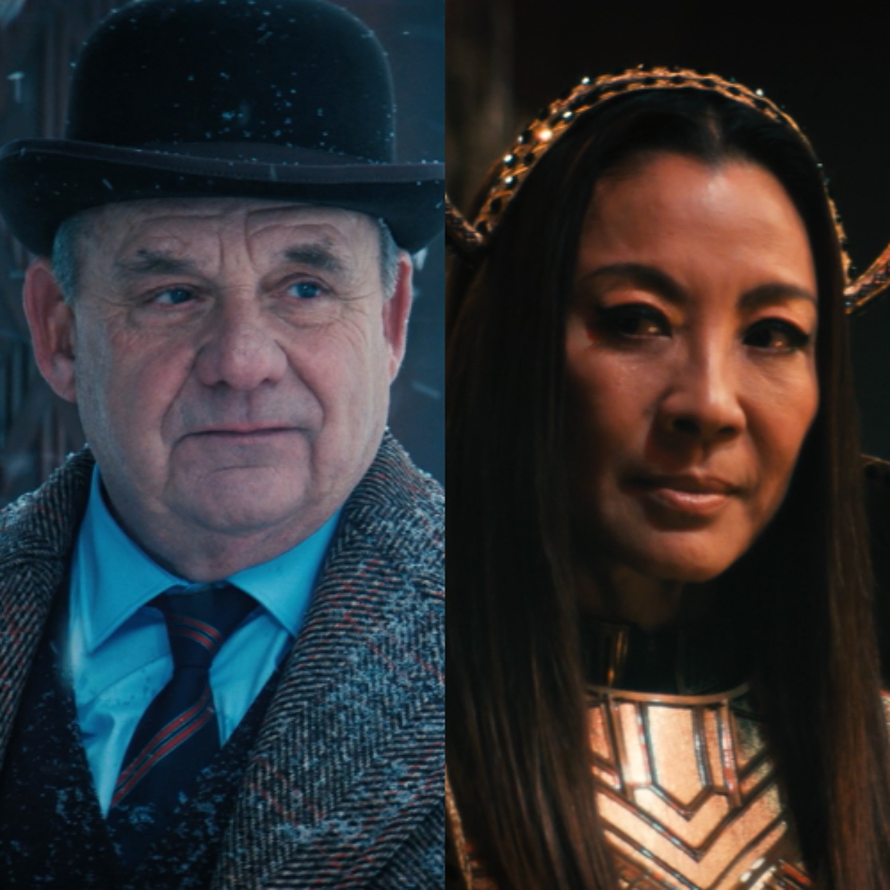 A Star to Steer Her By