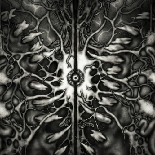 psycore & experimental