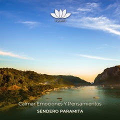 Calmar Emociones Y Pensamientos