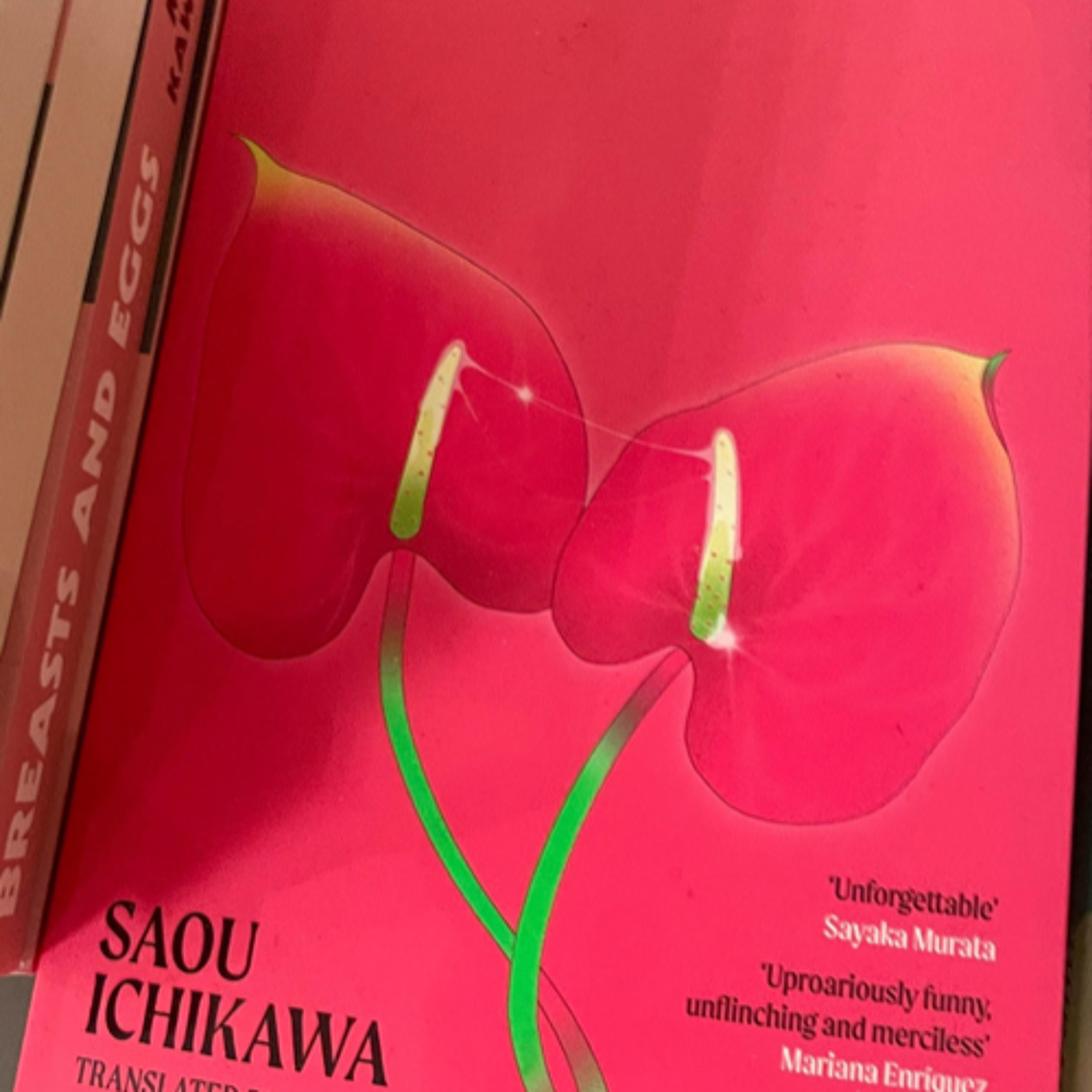 Saou Ichikawa’s Akutagawa Prize-Winning Novel ‘Hunchback’ Now Translated into English