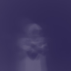 Birdtattoo Discography